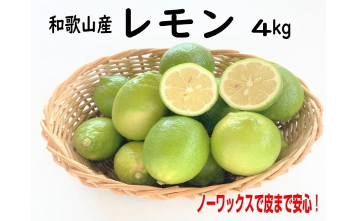 
和歌山産レモン/グリーンレモン 4kg 【国産レモン】

