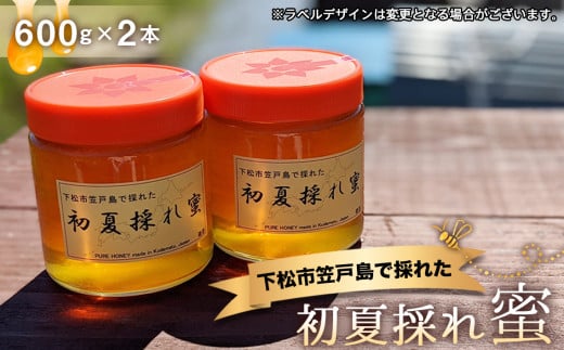 No.069 下松市笠戸島で採れた初夏採れ蜜 ／ 蜂蜜 はちみつ ハニー 非加熱 無添加 天然 山口県 特産品