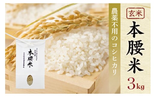 令和7年産 本腰米3kg 玄米 千葉県産コシヒカリ 農薬不使用 【 ふるさと納税 お米 3kg 千葉県産 大網白里市 コシヒカリ 農薬不使用 米 玄米 こめ 送料無料 】F004