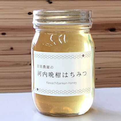 【ふるさと納税】 はちみつ 500g 河内晩柑 国産 純粋 蜂蜜 ギフト 1kg 以下 みかん 瓶詰め 愛媛 愛南 産 おいしい 生産者 産地 直送 産直 農家【発送時期：2025年5月〜】