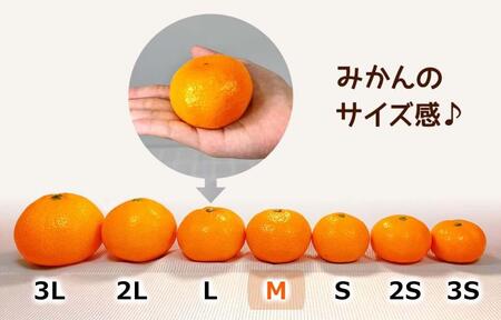 みかん Ｍサイズ 秀品 箱込 5kg (内容量約 4.4kg) 有田みかん 和歌山県産 産地直送 贈答用 【みかんの会】