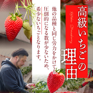【2026年1月発送】高級いちご「古都華」3L～Mサイズ2パック　いちご 高級 古都華 3L～Mサイズ 280g×2パック 深みのある濃厚な味わい ほどよい酸味 高い糖度 華やかな香り 美味しく甘い 