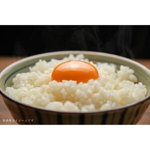 匝瑳の“さくら色”たまご　Lサイズ　贈答用60個