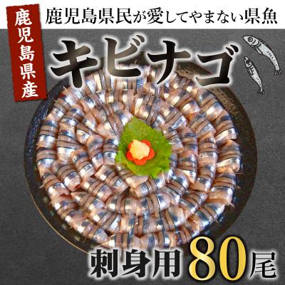ふるさと納税 南九州市 鹿児島産「キビナゴ」刺身用80尾