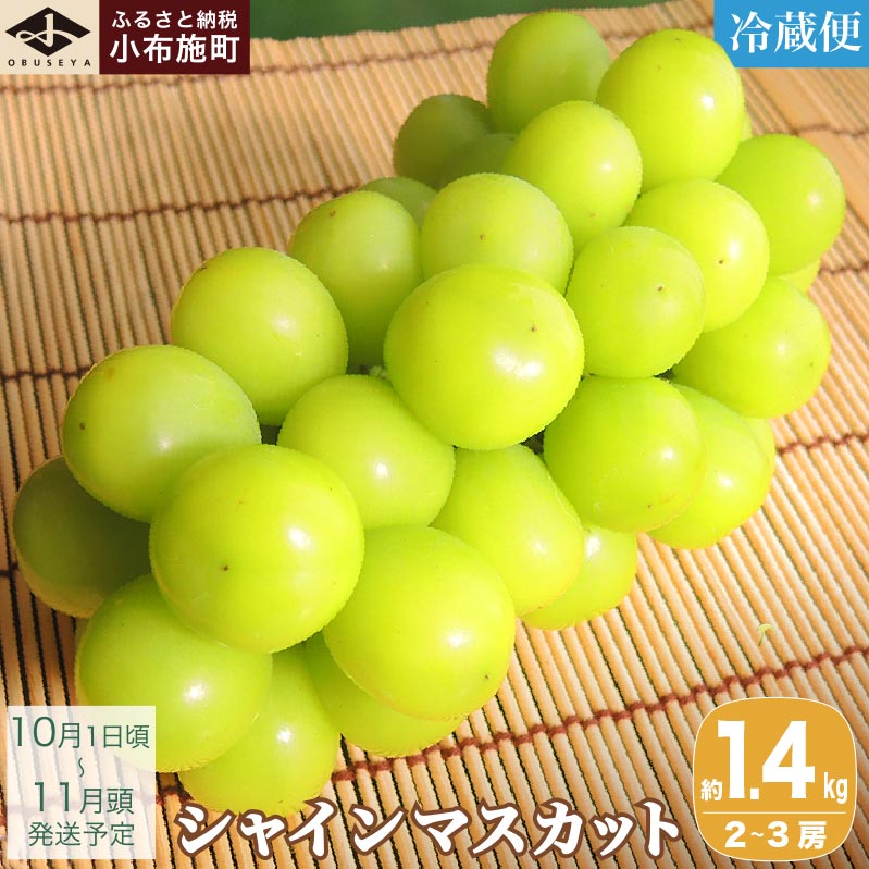 シャインマスカット 約1.4kg 2～3房 ［小布施屋］ フルーツ 果物 くだもの ぶどう 葡萄 ブドウ 数量限定 クール便配送 長野県産 産地直送 先行予約 送料無料 2025 2025年発送 令和7年産 【2025年10月1日頃～11月頭にかけて順次発送】