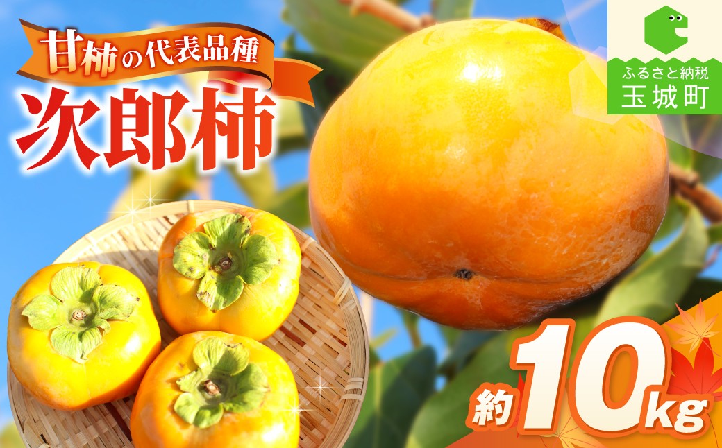 
                  【先行予約】2026年度発送 玉城町産玉城次郎柿 約10kg 【 柿 早生次郎柿 フルーツ 果物 甘柿 2026年10月下旬～11月下旬発送 】
                