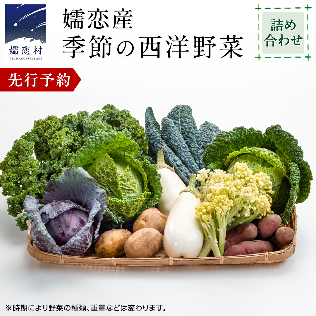【ふるさと納税】 【7月中旬以降発送開始】 嬬恋産 季節の 西洋野菜 詰め合わせ 先行予約 2025年発送 産地直送 野菜 野菜セット 旬の野菜