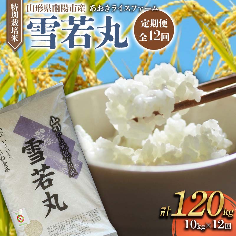 【ふるさと納税】 【金賞受賞農家】 《定期便12回》 令和7年産 特別栽培米 雪若丸 計10kg(5kg×2袋)×12か月 『あおきライスファーム』 山形南陽産 米 白米 精米 ご飯 農家直送 山形県 南陽市 [2668]
