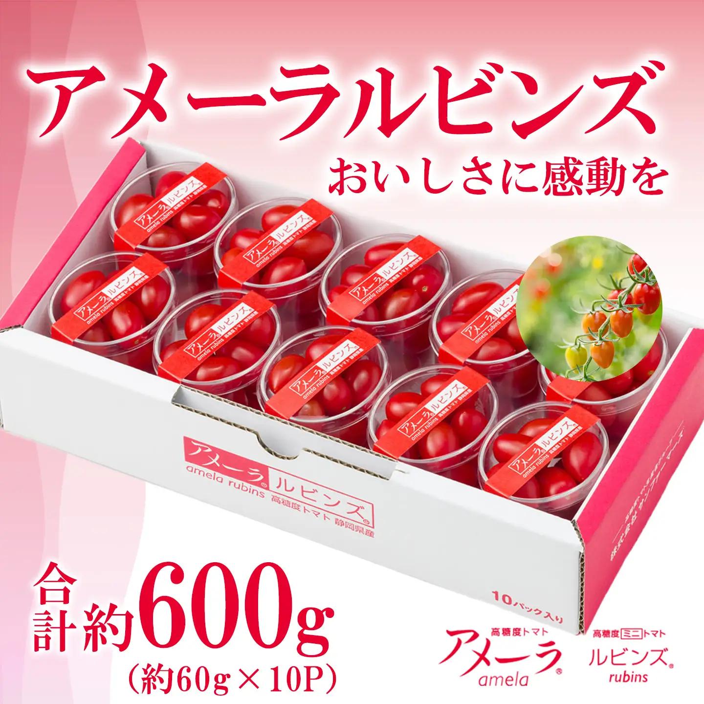 ミニトマト アメーラルビンズ 約60g×10P ミニトマト