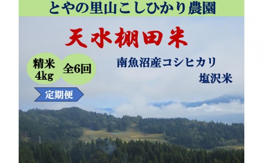 令和8年産米 定期便【天水棚田米】特別栽培米雪蔵熟成塩沢産コシヒカリ精米4kg6回「とやの里山継承プロジェクト」【定期便 銘柄米 精米 こしひかり コシヒカリ 魚沼産 新潟米】【2026年10月下旬より順次発送予定】