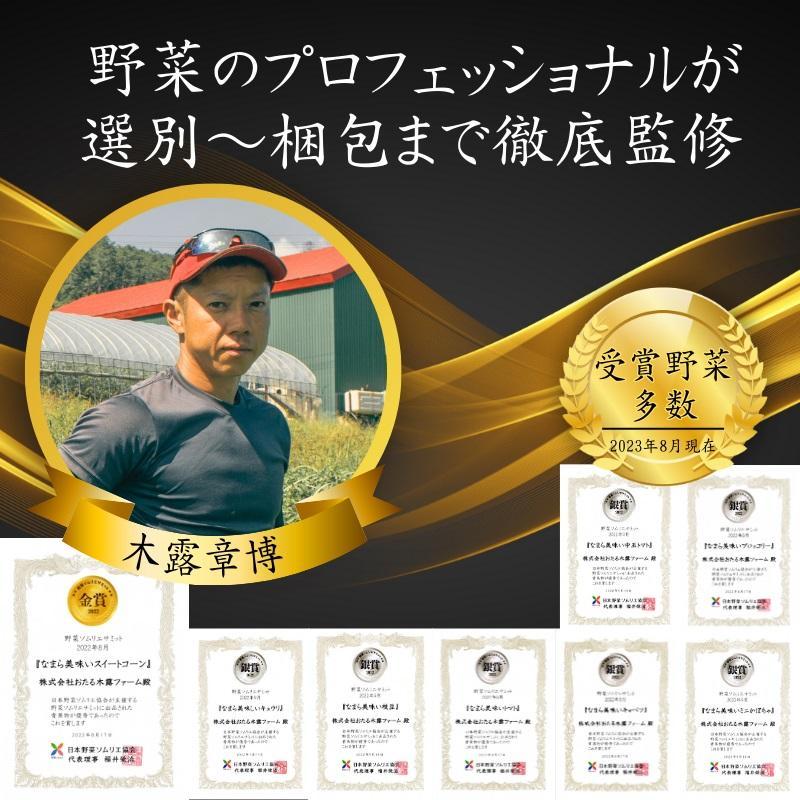 【3回定期便】【野菜ソムリエ厳選】北海道小樽産 旬の活野菜セットL 10種以上 120サイズ