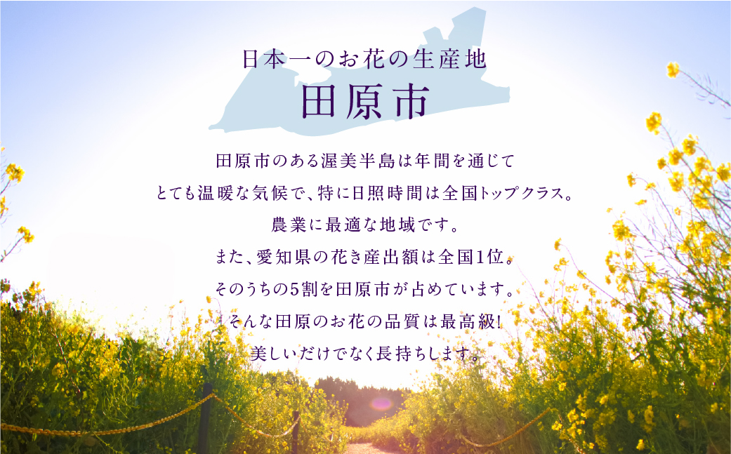 【定期便12回】お花屋さんのタハナＢＯＸ 定期便12回 定期便も選べる 定期便 3回 6回 12回 フラワーアレンジメント 花 お花 花束 ブーケ 季節 ギフト お祝い 誕生日 記念日 ギフト プレゼ