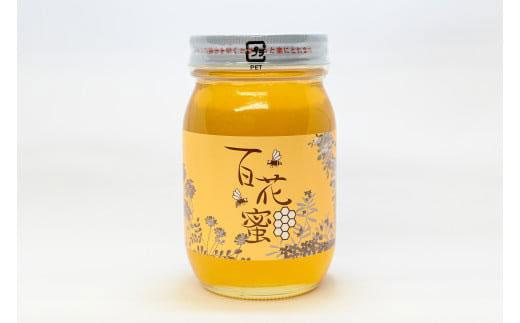 はちみつ 井之上養蜂場 百花蜜 三朝町産 600g × 1本