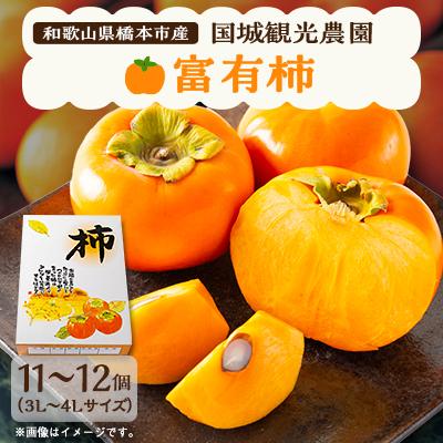 ふるさと納税 橋本市 国城観光農園の富有柿11〜12個(3〜4L)