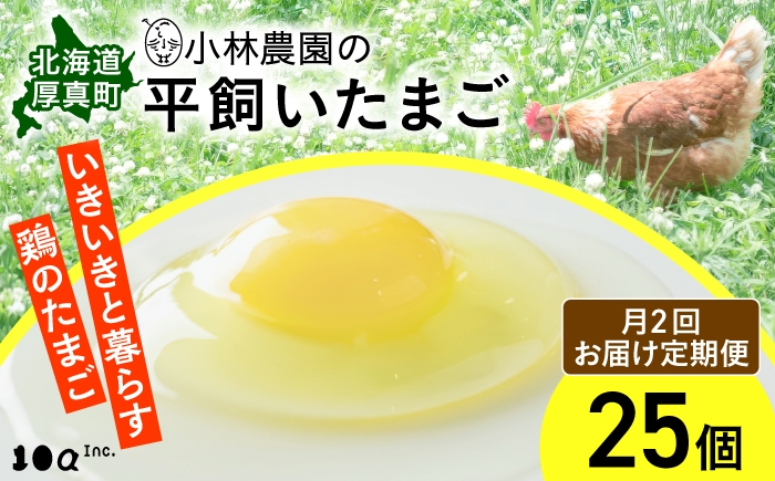 
                  【月2回・全4回定期便】小林農園の平飼いたまご・無投薬 25個《厚真町》【テンアール株式会社】 有精卵 卵 鶏卵 玉子 生卵 平飼い 北海道 定期便 [AXAN025]
                