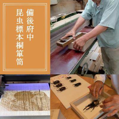 ふるさと納税 府中市 【数量限定】匠の昆虫標本桐箪笥「ヘラクレスオオカブト」 |  | 01