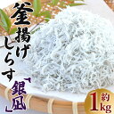 【ふるさと納税】釜揚げしらす「銀凪」約1kg（選べる：350g×3袋/50g×20パック）- 小魚 さかな シラス かまあげ 丼 魚介 シーフード 選べる梱包 特産品 海産物 新鮮 ご飯のお供 おつまみ 国産 贈答 ギフト 海の幸 令和6年 ヤマナカ水産 高知県 香南市【冷凍】Rym-0014