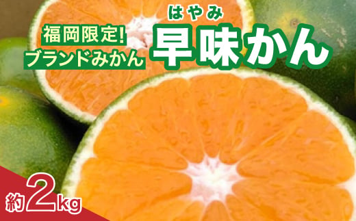 
                  福岡限定!オリジナルブランドみかん「早味かん」約2kg(大野城市)_ フルーツ 柑橘 ミカン 蜜柑 果物 くだもの 美味しい 人気 送料無料 柑橘類 【1091055】
                