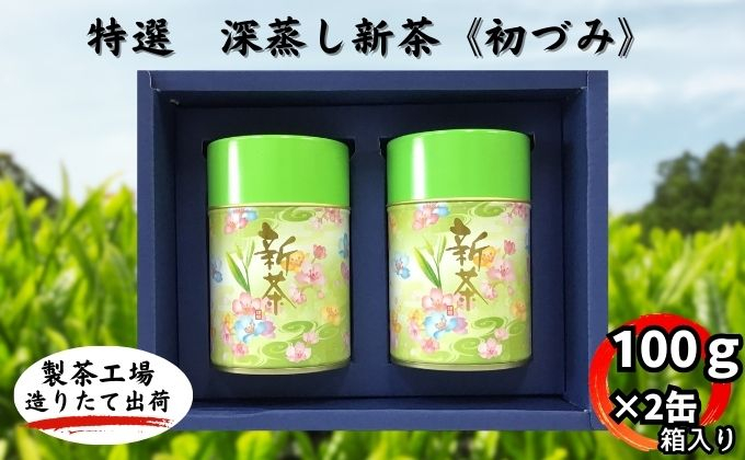 
                  深蒸し新茶《初づみ》箱入（100g×2缶）
                