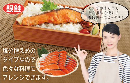 099S016 主婦が選んだ まんぷく セット（牛肉 ハラミ 銀鮭 切り身 たまご 野菜）【別送】