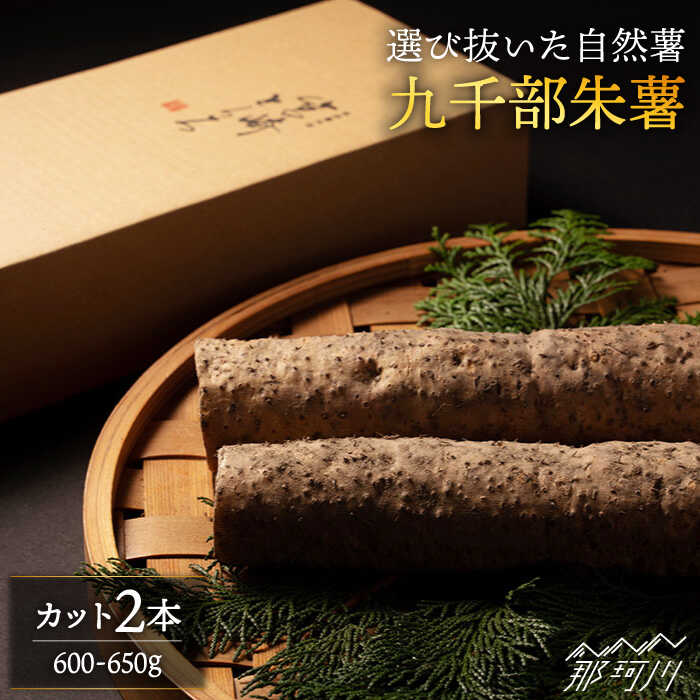 【ふるさと納税】【選び抜いた「粘り」と「香り」】 先行予約！自然薯 「九千部朱薯」600g〜650g（2本）＜株式会社九千部＞那珂川市 | 父の日 母の日 [GAZ001] 10000 10000円 1万円 以上