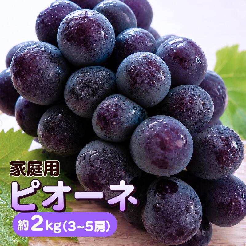 【ふるさと納税】家庭用 ピオーネ 約2kg 3～5房 岡山県新見市 中川農園 【先行予約 2026年9月から順次発送】