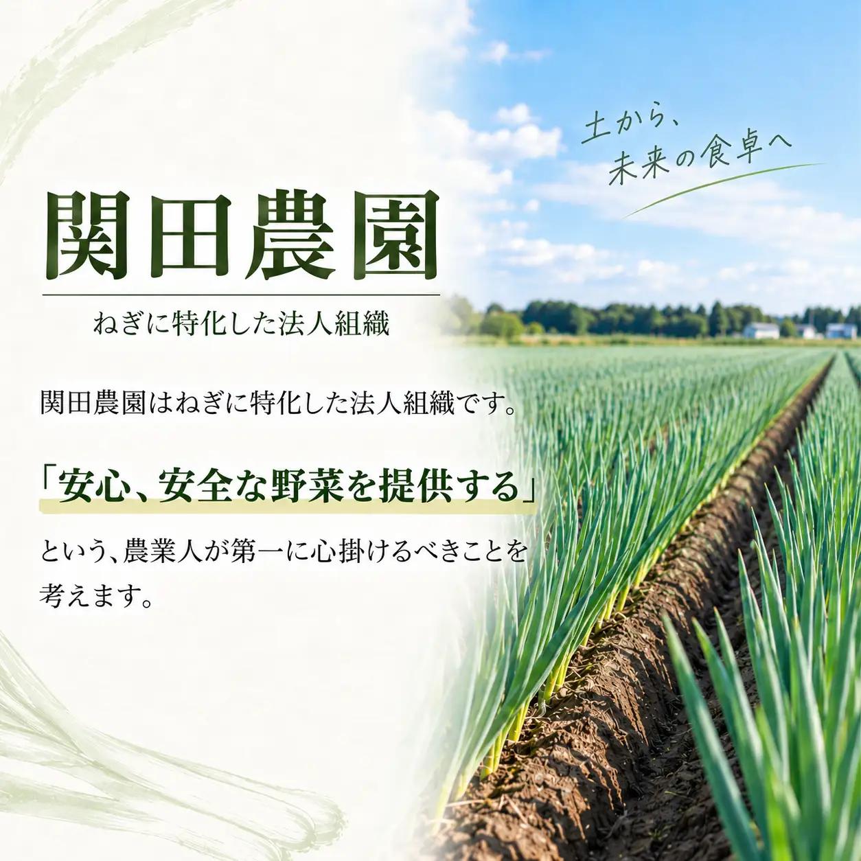 関田農園「厳選 長ねぎ（泥つき）」 3kg