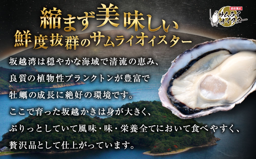 サムライゴールド坂越産殻付き生牡蠣50個