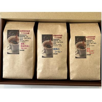 ふるさと納税 長崎市 自家焙煎珈琲うつのみ屋　自家焙煎珈琲豆　200g×3袋【豆】