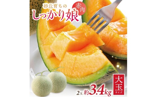 庄内赤肉メロン「しっかり娘」　約3.4kg(赤肉/2玉入/つる付き) SZ0325