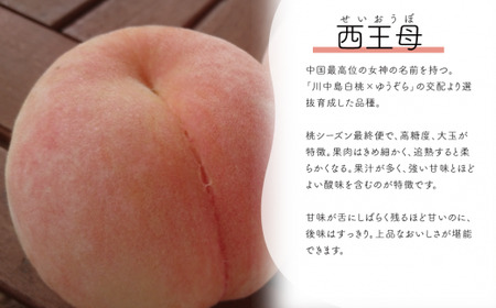 【きよとうファーム】西王母（上級品）4-6玉入 (岡山県産)【KF-A011-01】