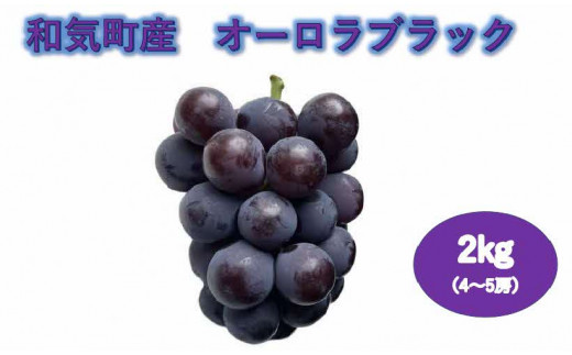 【2026年発送】 オーロラブラック ぶどう フルーツ 果物 | 2.0kg （4～5房） | 送料無料 産地直送