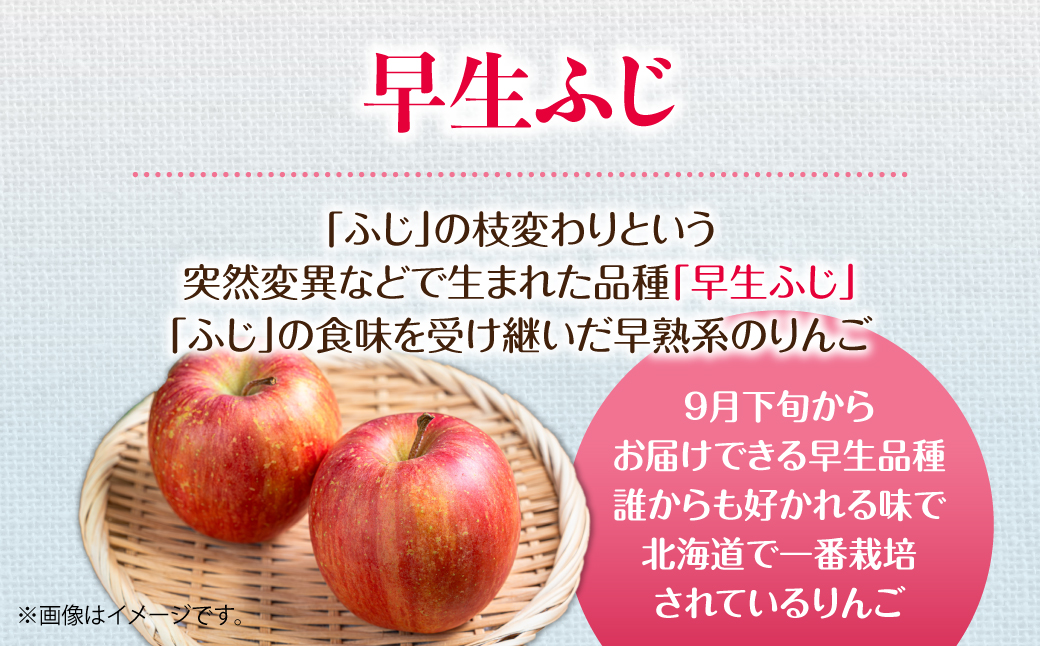 【先行予約】北海道壮瞥町産りんご「早生ふじ」約5kg(12～18玉)<2026年10月中旬よりお届け> SBTF009