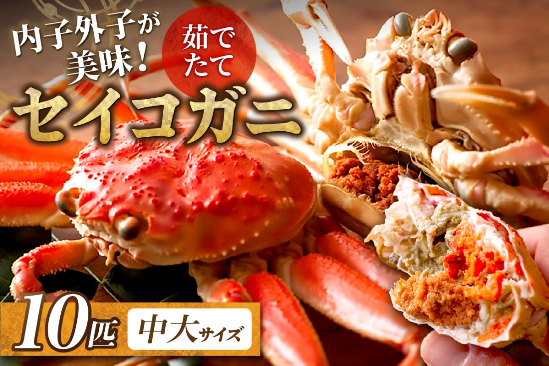 【蟹の匠 魚政】内子外子が美味! 茹でたて セイコガニ（セコ蟹）（香箱ガニ）（こっぺ）中大サイズ 10匹セット　UO01387