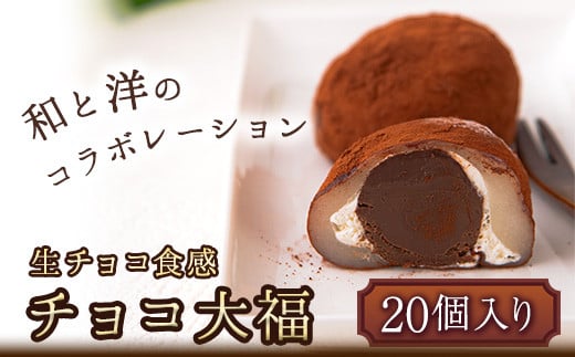 
生チョコ食感 チョコ大福 20個 北九食品株式会社 《30日以内に出荷予定(土日祝除く)》大福 和菓子 スイーツ 鞍手郡
