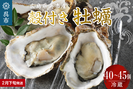 【2026年2月下旬発送】宮原水産 かき 殻付き 40～45個 ku005-013-02-3-25