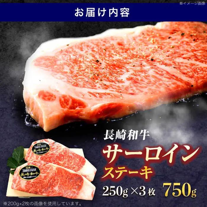 牛肉ステーキ サーロイン ステーキ 約750g[OCE047]