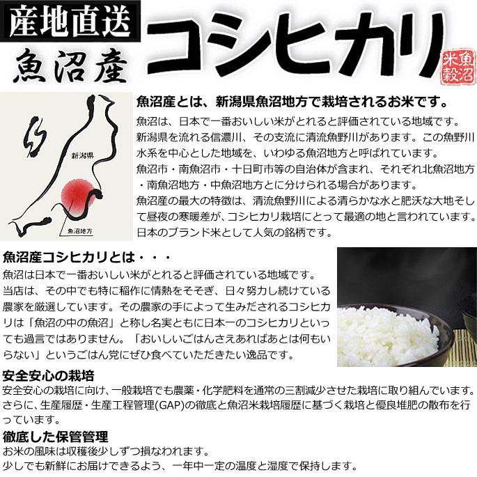 【令和7年産無洗米】お米マイスター厳選！魚沼産コシヒカリ　5kg