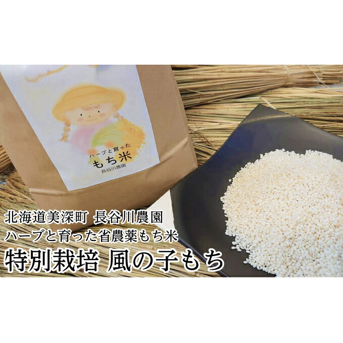 ハーブと育った省農薬の特別栽培もち米「風の子もち」5kg×1【北海道美深町】長谷川農園　【餅米・もち米】