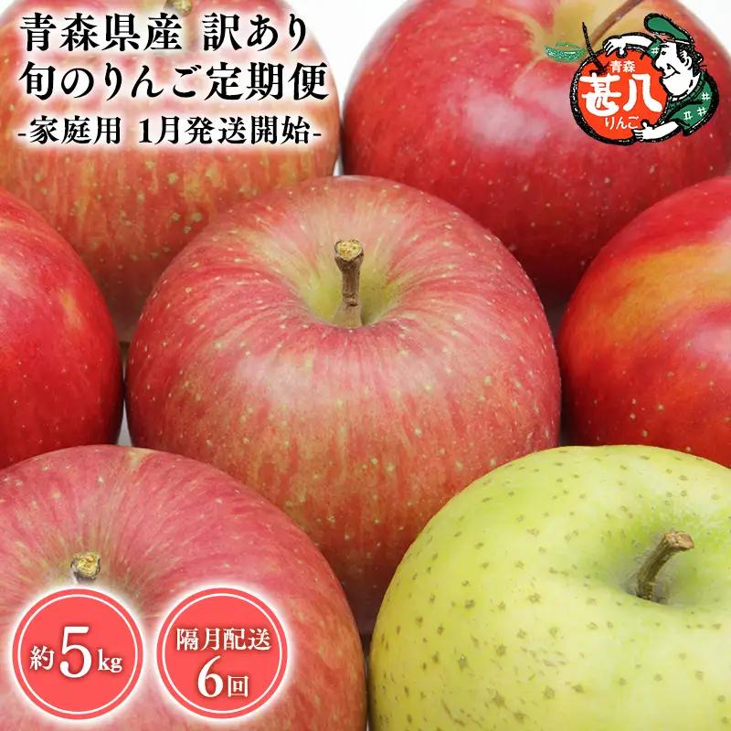 りんご 定期便 訳あり 5kg 隔月配送 定期便６回 訳あり りんご