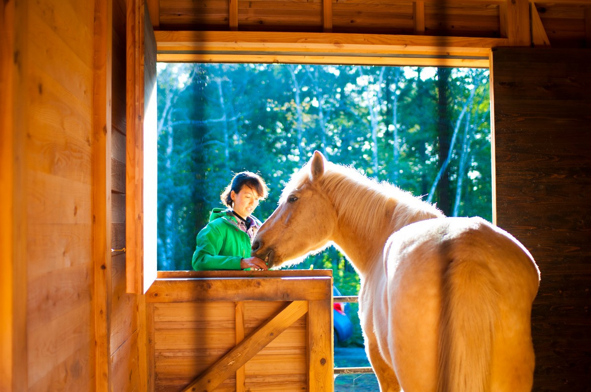 15:30 Horse Care：ブラッシングや手入れ、、餌やりや世話の基本も体験しながら、馬について学びます。