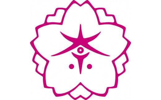 C-30 赤膚焼大塩昭山 奈良絵抹茶茶碗