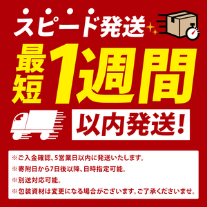 ピザ 石窯 ナポリピッツァ 冷凍 小分け マルゲリータ 直径20cm10枚 敬老の日 本格 イタリアン 冷凍 食べ物 オーブントースター カンタン調理 肉のイイジマ 茨城県 水戸市 ギフト対応(DU-