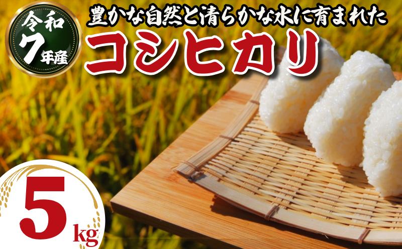 令和7年産 米 コシヒカリ 5kg 先行予約 2025年9月発送 新米 こしひかり 白米 精米 お米 農家直送 国産 徳島県 小松島市