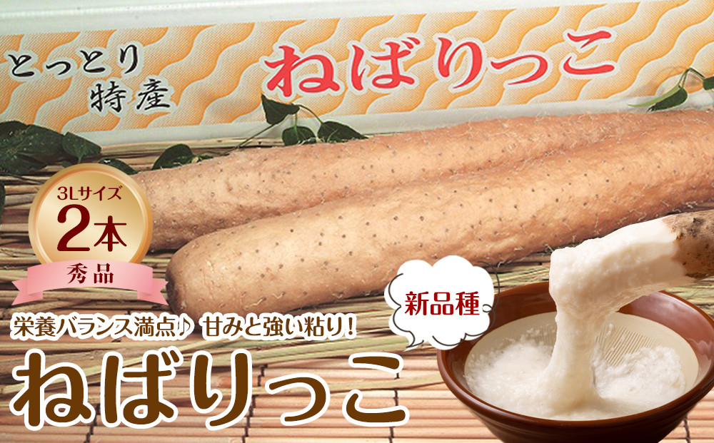 744.【ＪＡ】ねばりっこ　秀3Ｌ×2本　※着日指定不可　※離島への配送不可　※順次発送予定