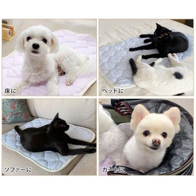 ふるさと納税 岸和田市 【XS40×30cm】2枚組コットン100%ペット用マット　PET-4030-2P |  | 03