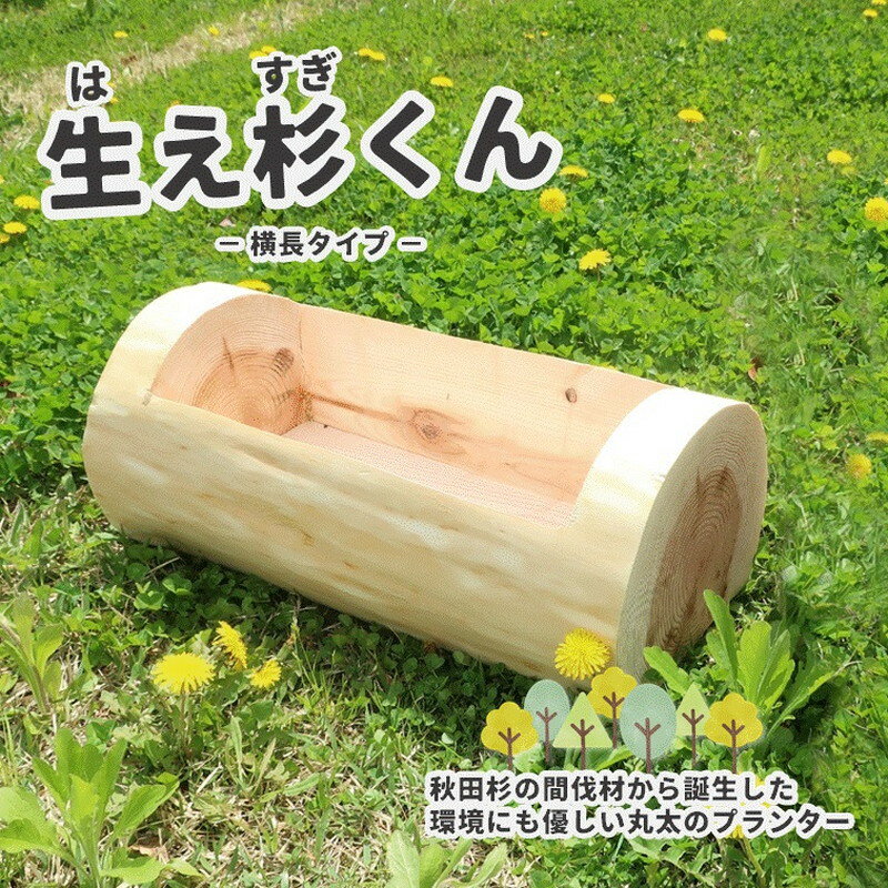 【ふるさと納税】里山くらし応援 木工品 秋田杉の丸太プランター「生え杉くん（はえすぎくん）」横長タイプ 雑貨 日用品 ガーデニング用品 木製プランター 手作り 　お届け：入金確認後、2週間～1か月程度でお届けします。