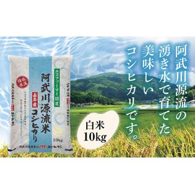 ふるさと納税 山口市 阿武川源流米コシヒカリ白米10キログラム D538
