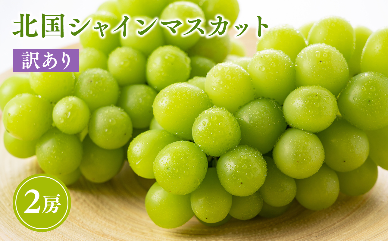 2026年産先行受付　訳あり 北国の冬シャインマスカット2房【原田農園】[hi-0068-001]シャインマスカット 訳あり 家庭用 ぶどう 産地直送 高糖度 平川市