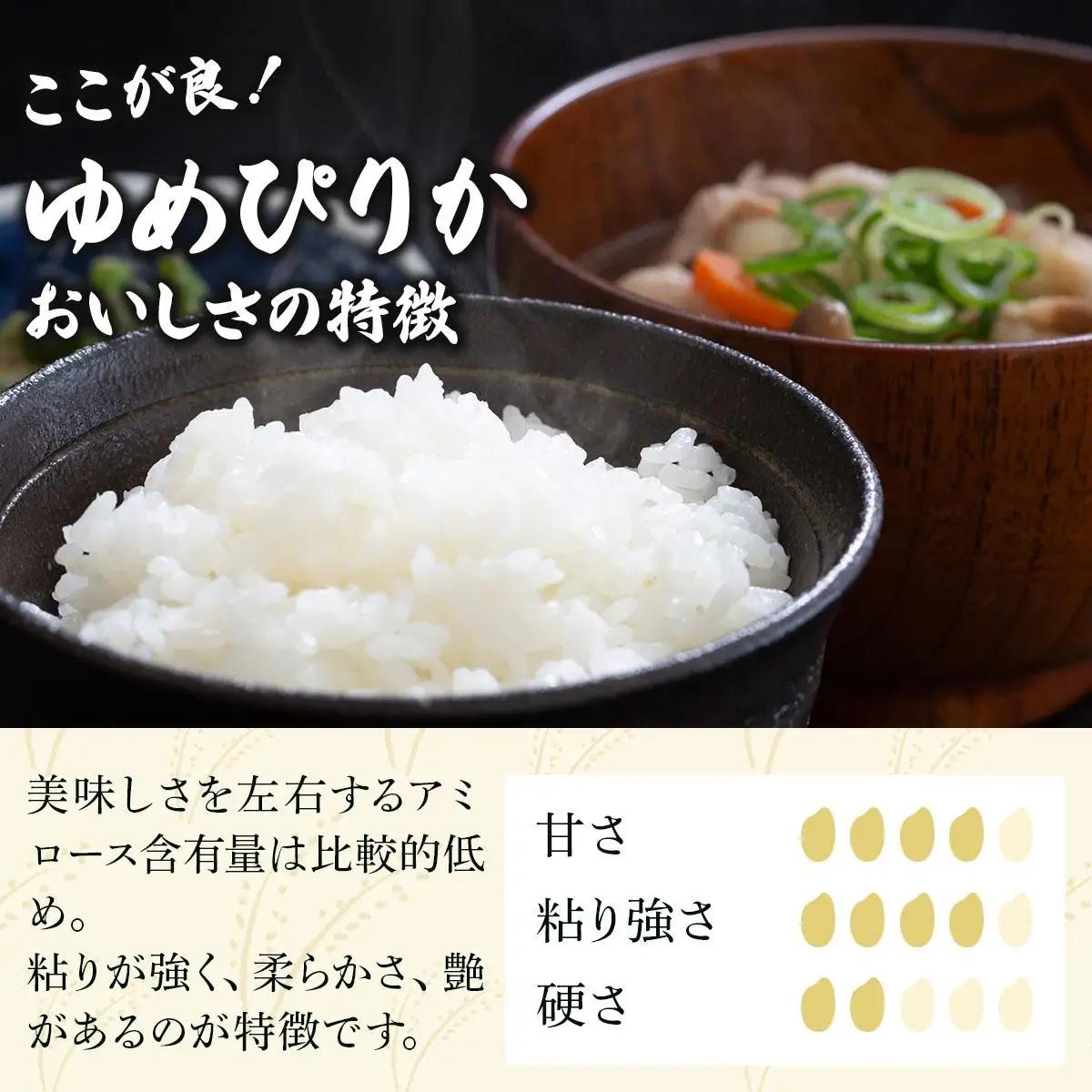 《令和 7 年産》＜定期便12回＞  お米 ゆめぴりか 20kg | 北海道 岩見沢産 米 白米 お米 精米 北海道 岩見沢市 山下商店【a164-024】